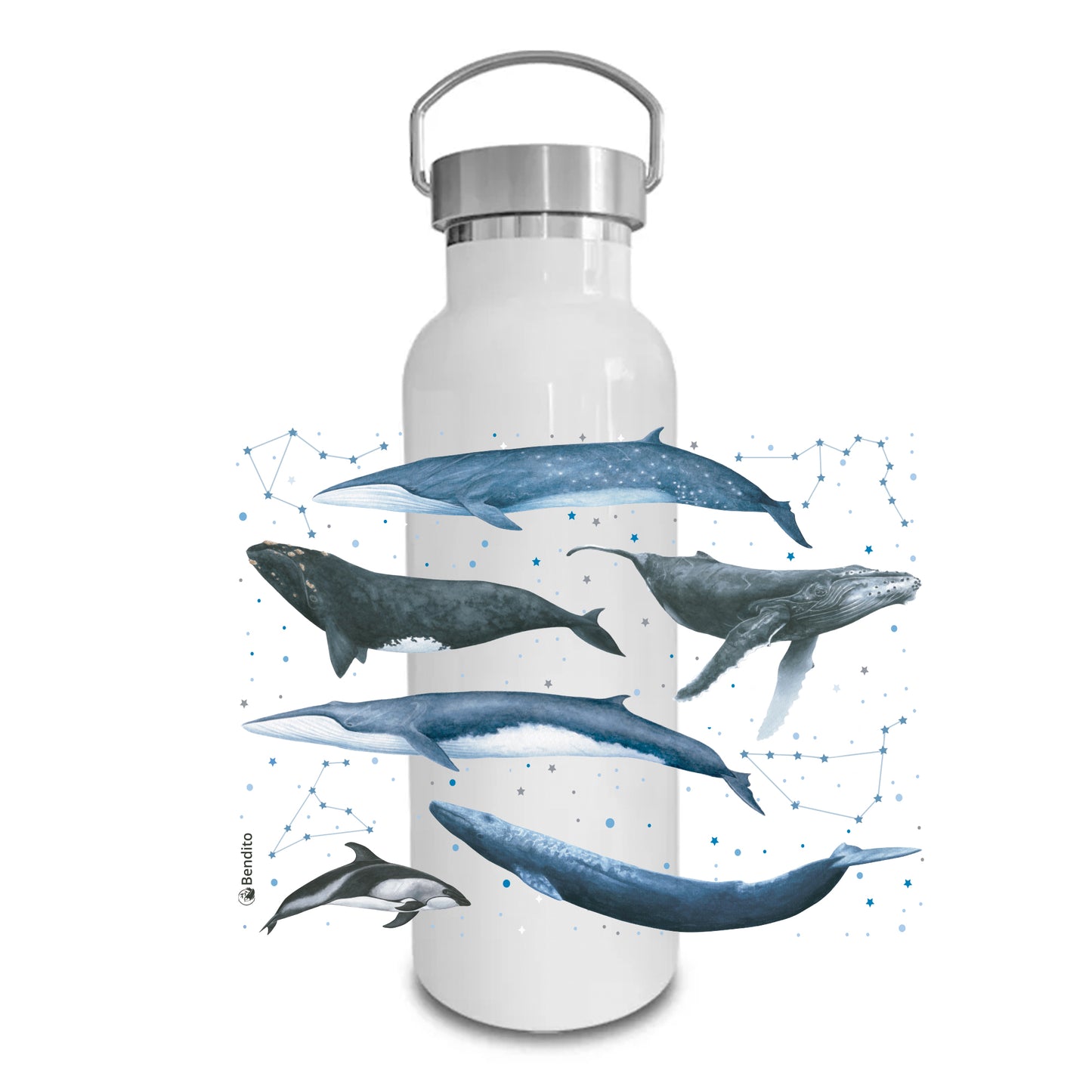 Termo Botella Cetáceos de Chile