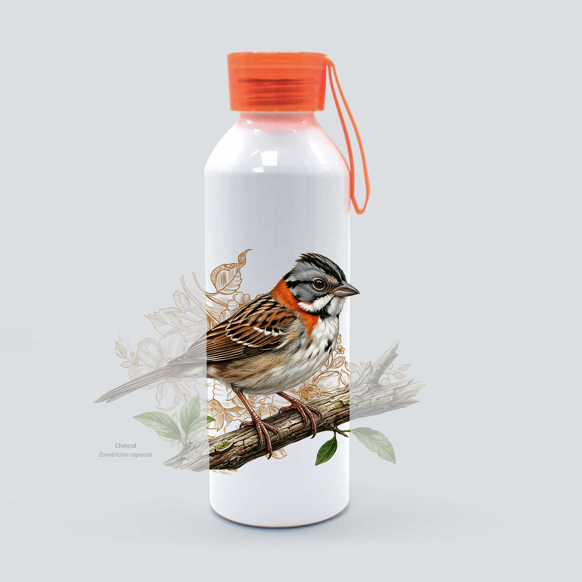 Botella Picaflor Chincol