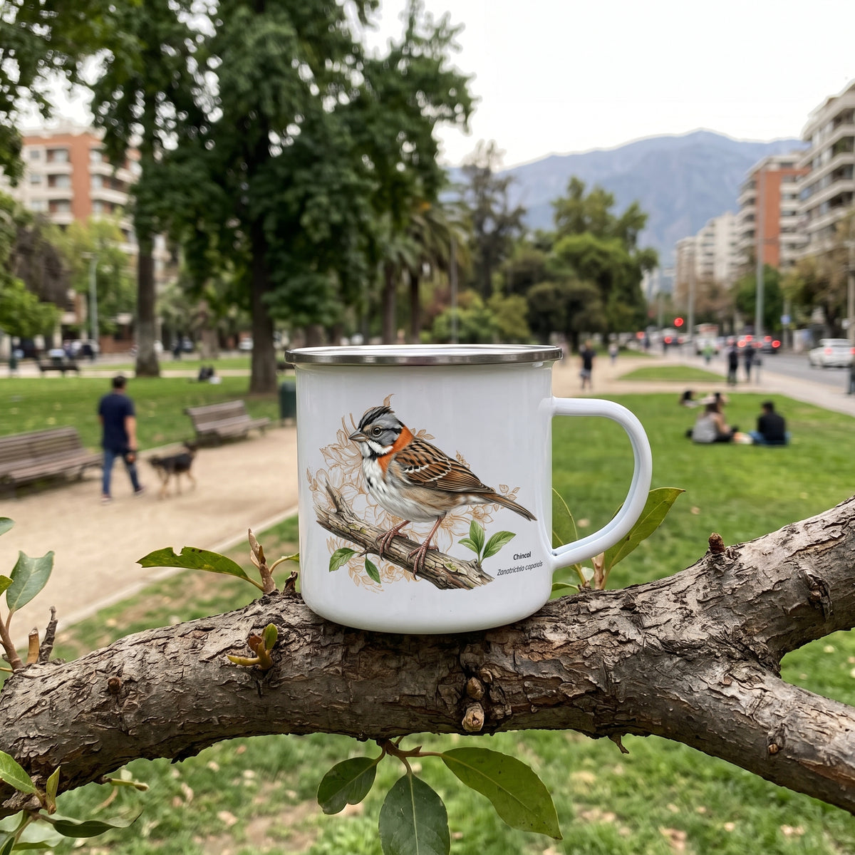 Tazón enlozado Chincol
