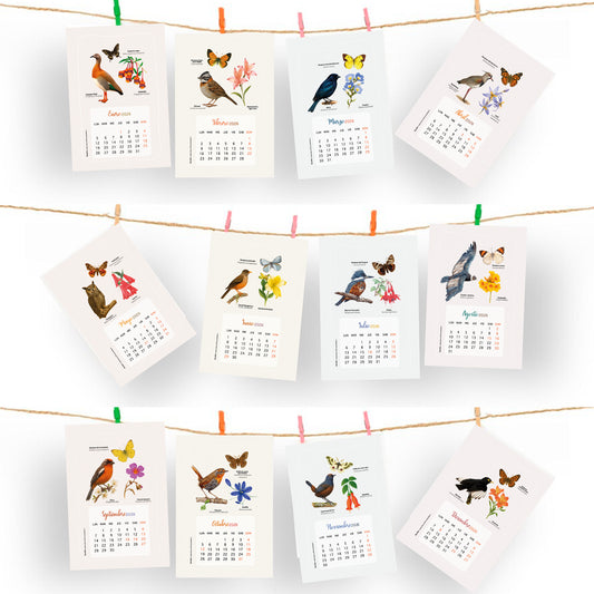 Calendario Aves de Chile 2026