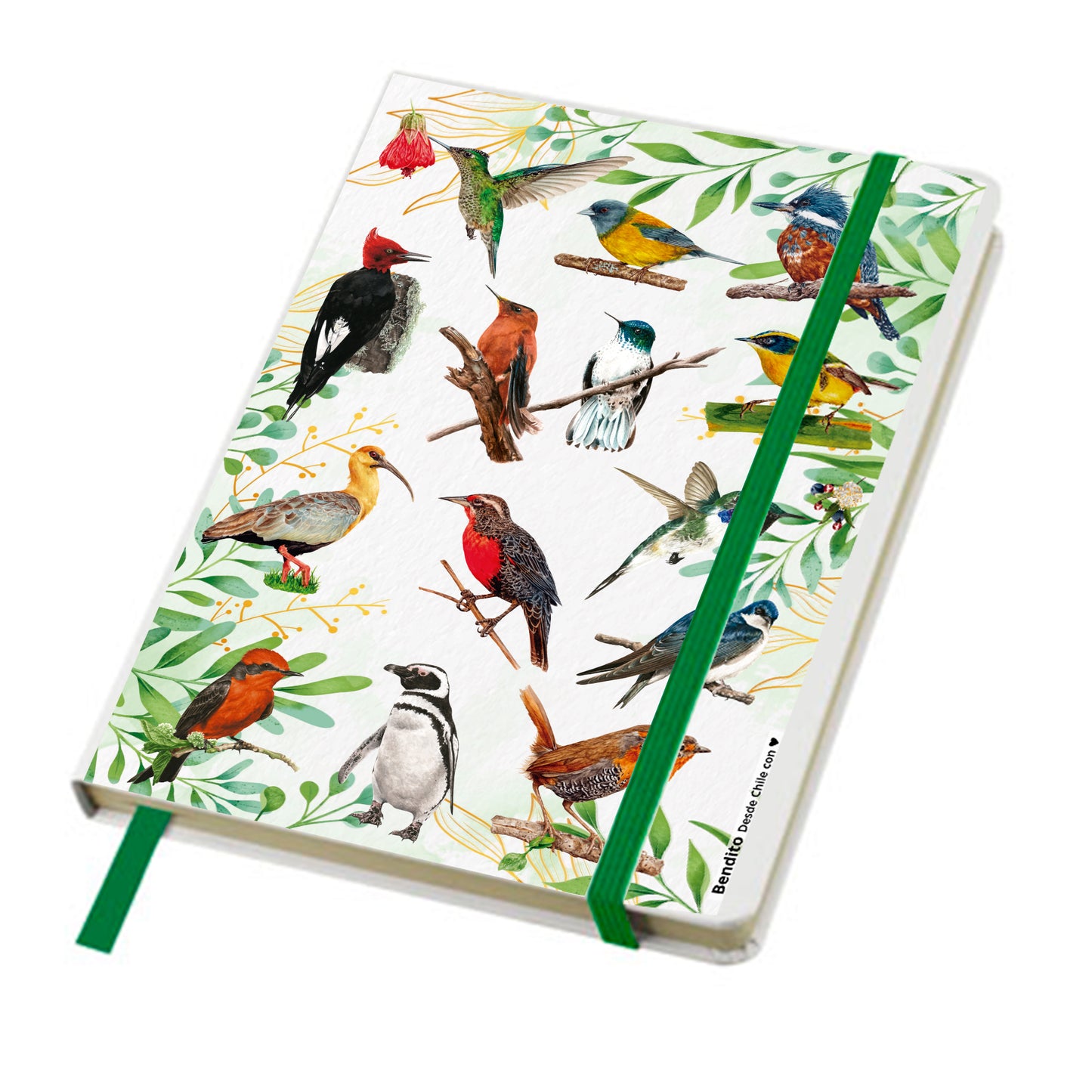 Cuaderno Aves de Chile