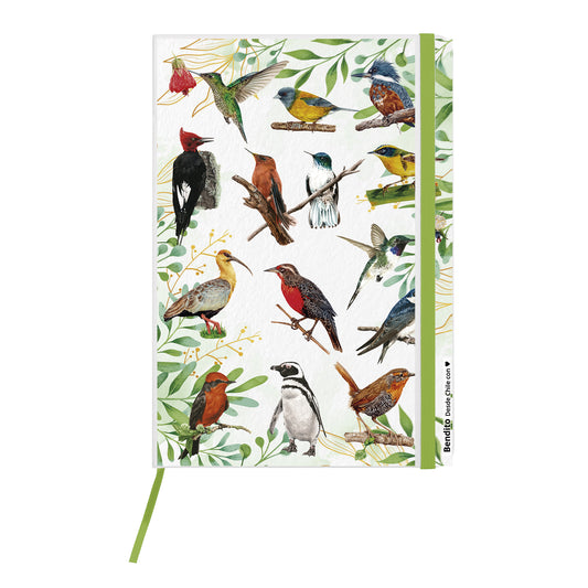 Cuaderno Aves de Chile