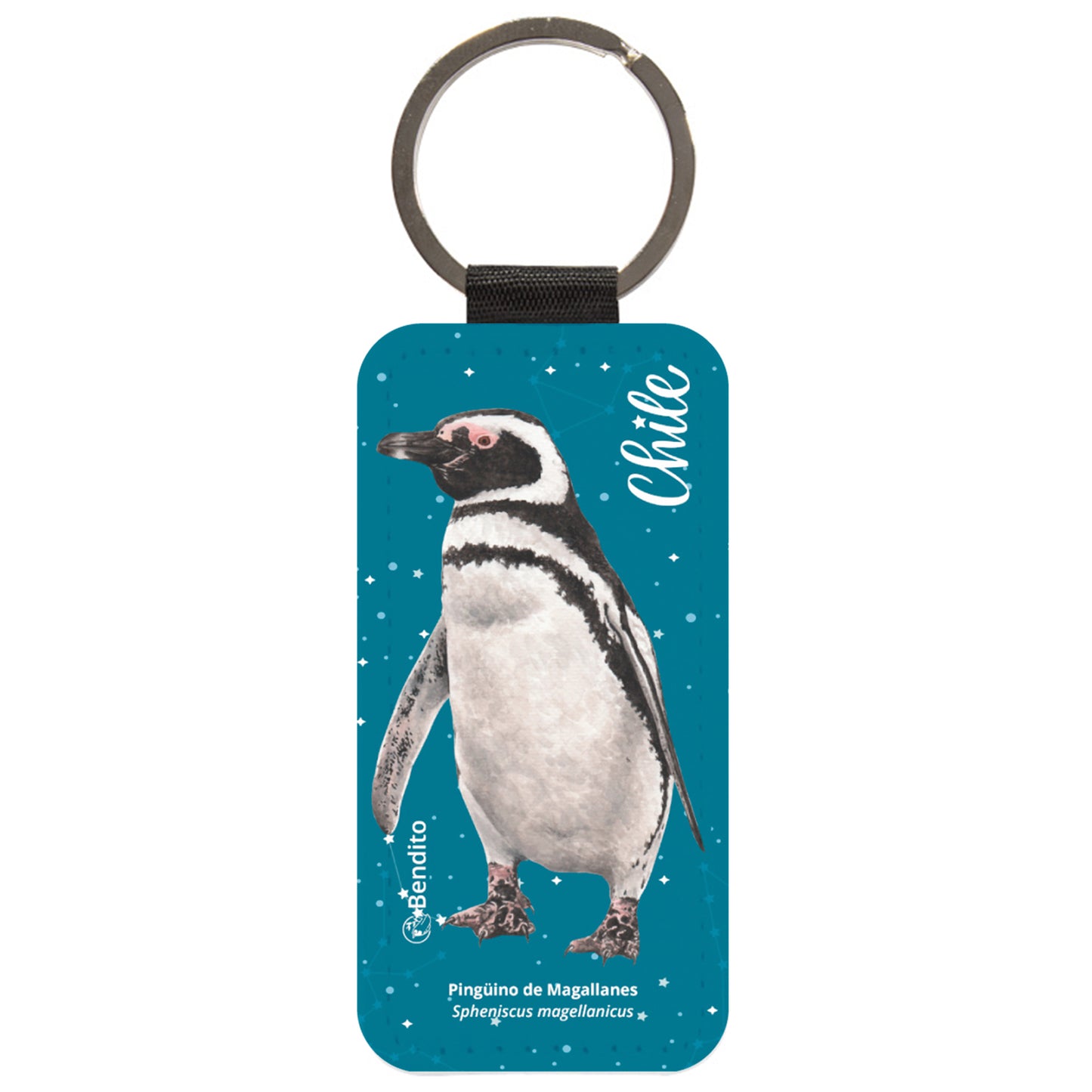 Llavero Fauna Pinguino Magallanes