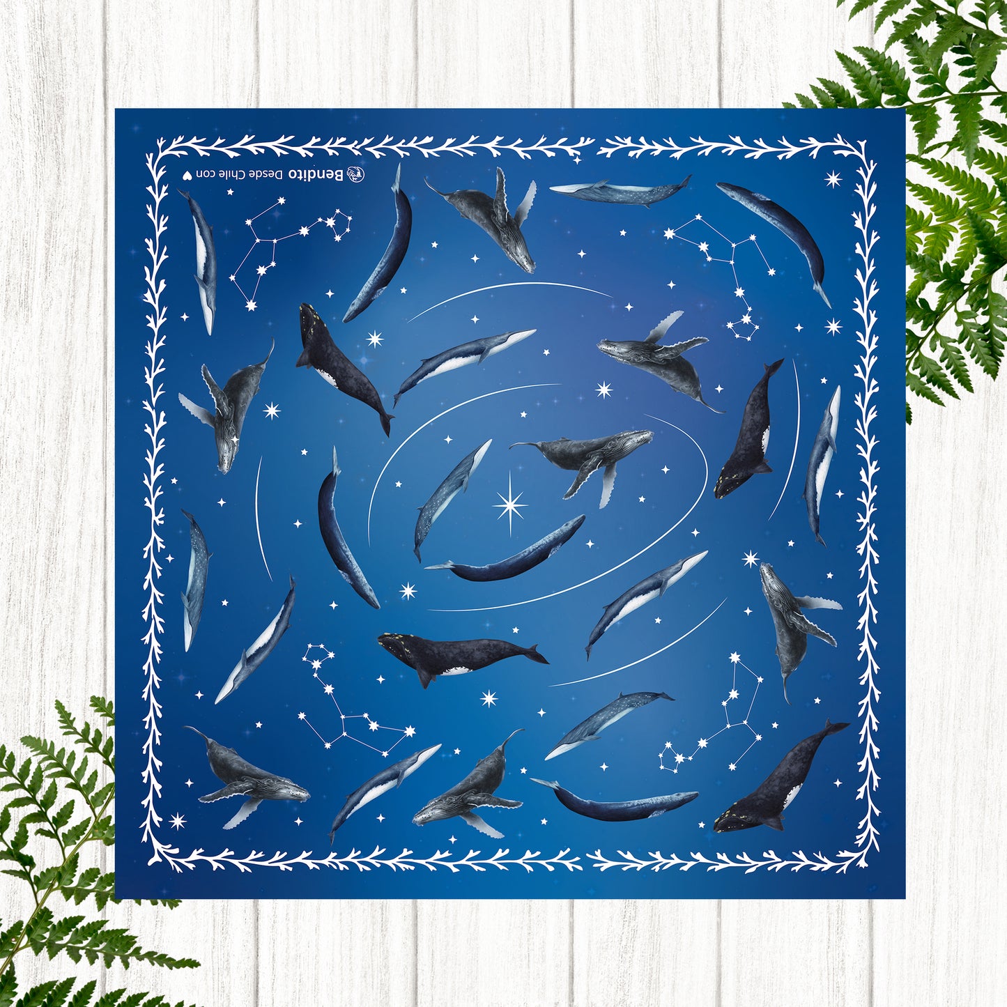 Pañuelo ballenas de Chile