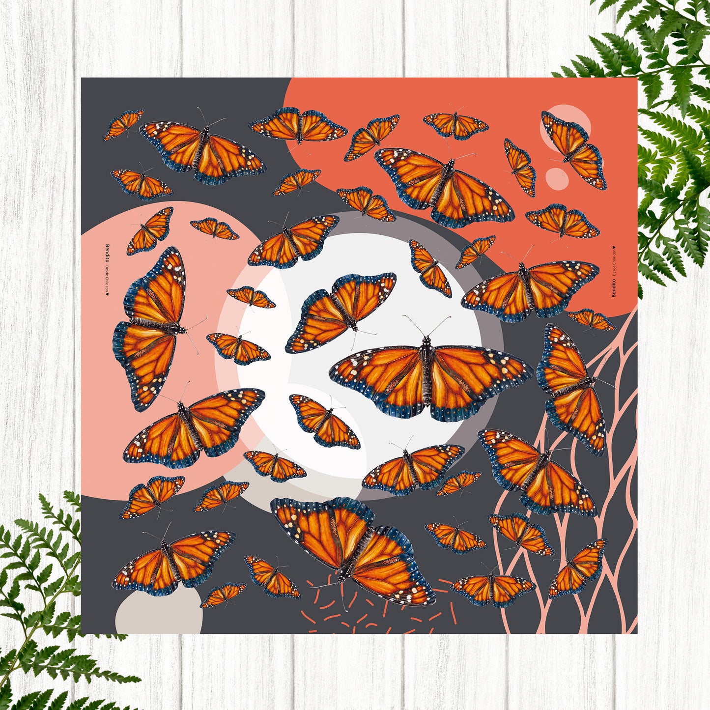 Pañuelo Mariposa Monarca Austral