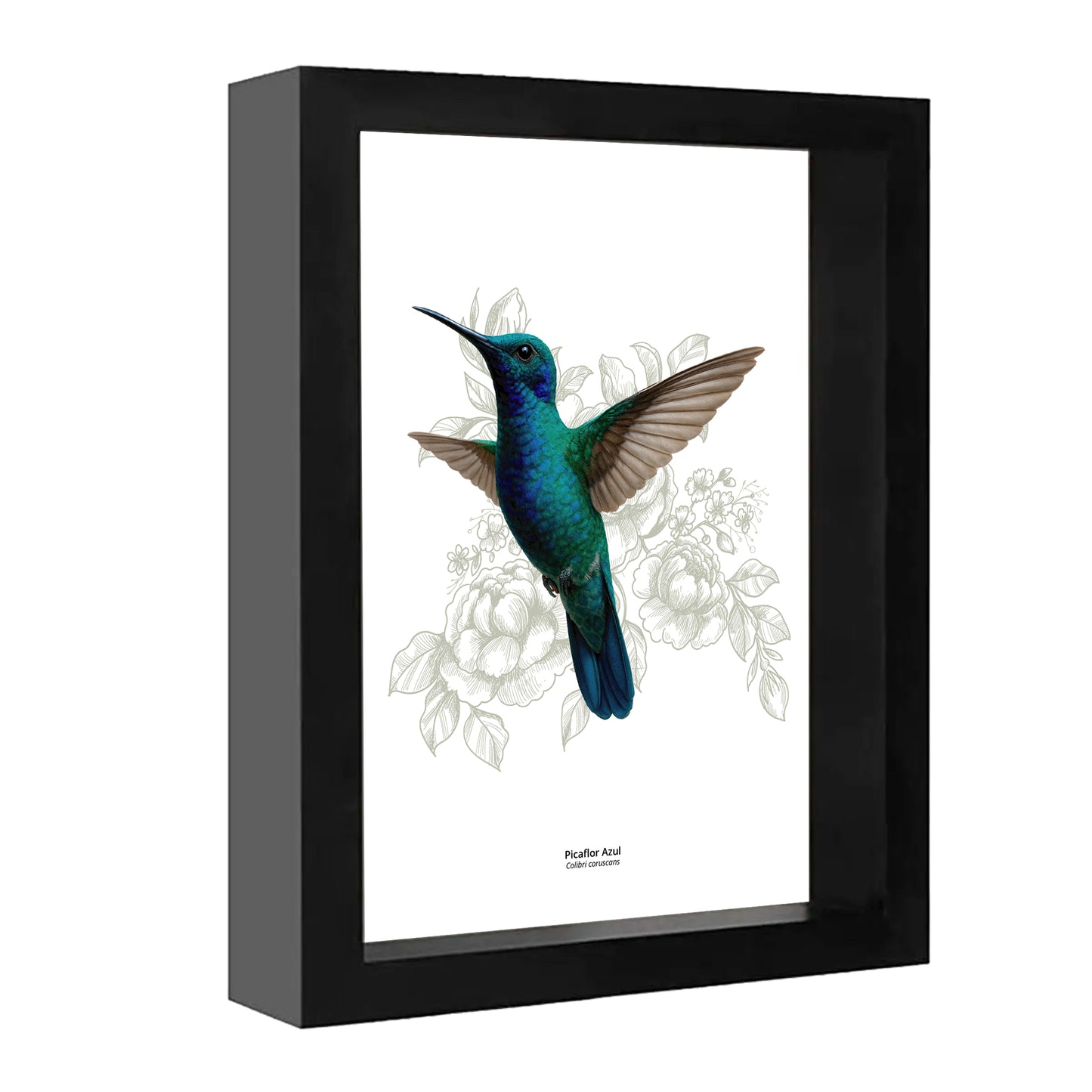 Set de 4 Cuadritos Picaflores