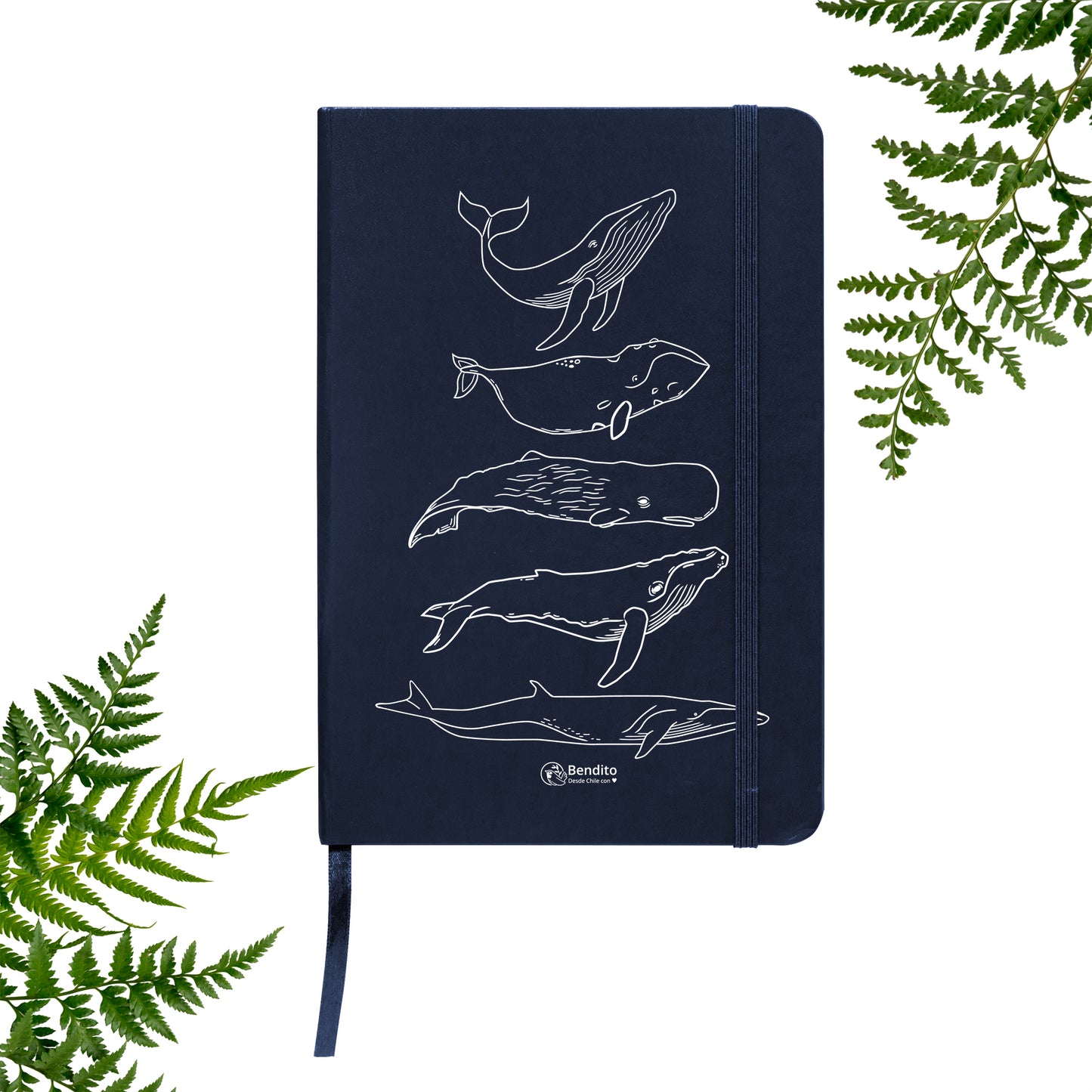 Cuaderno Ballenas Azul