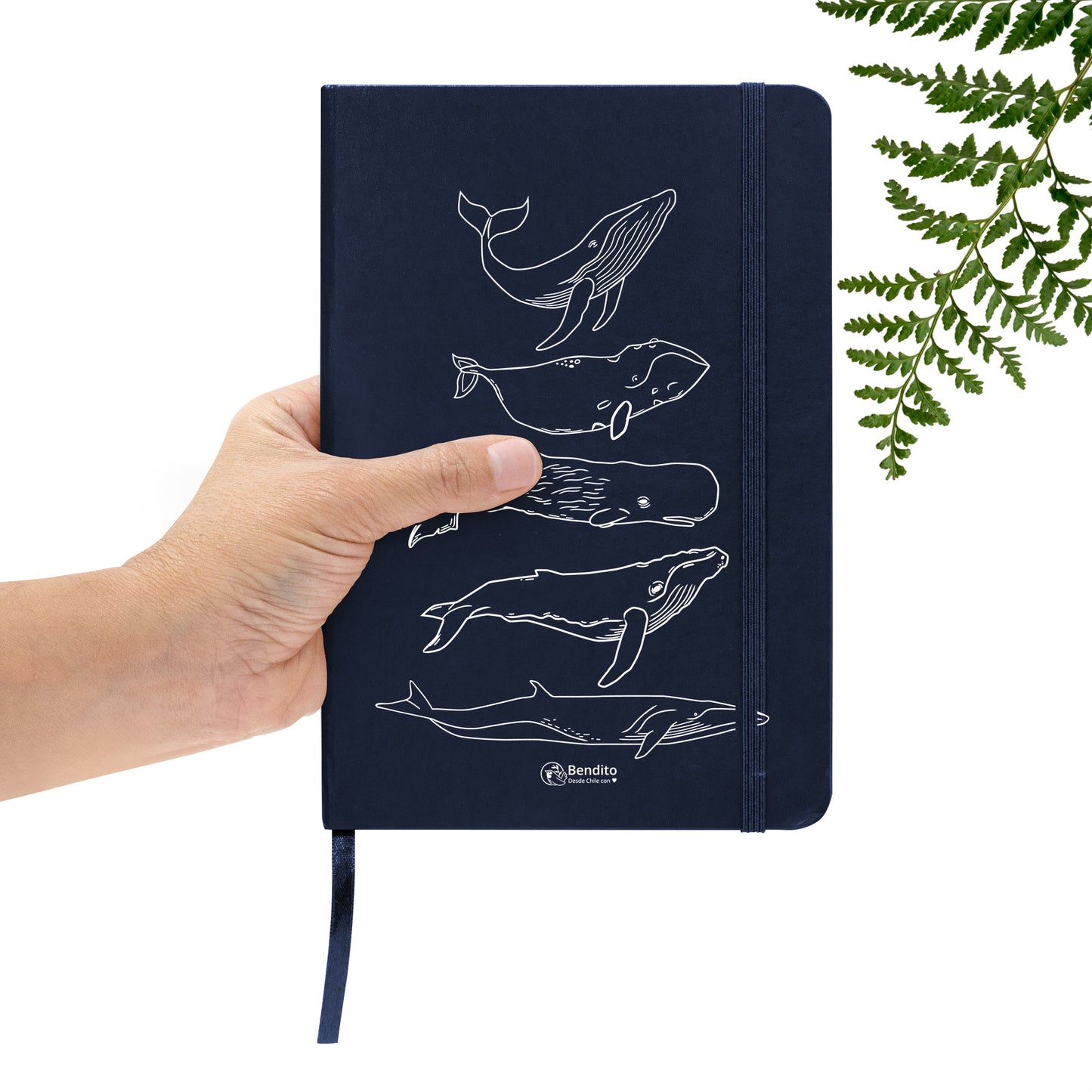 Cuaderno Ballenas Azul