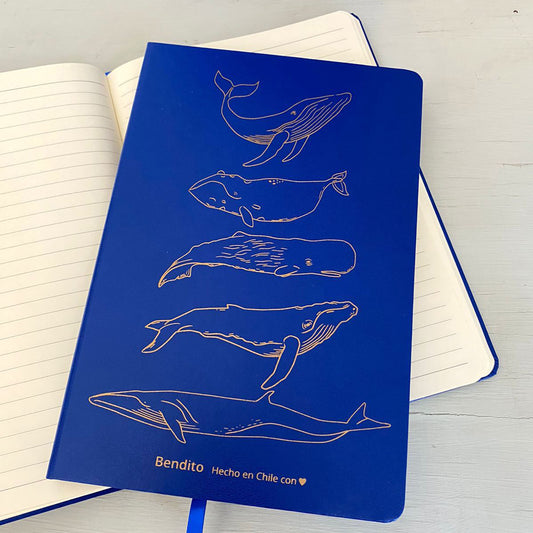 Cuaderno Ballenas Azul