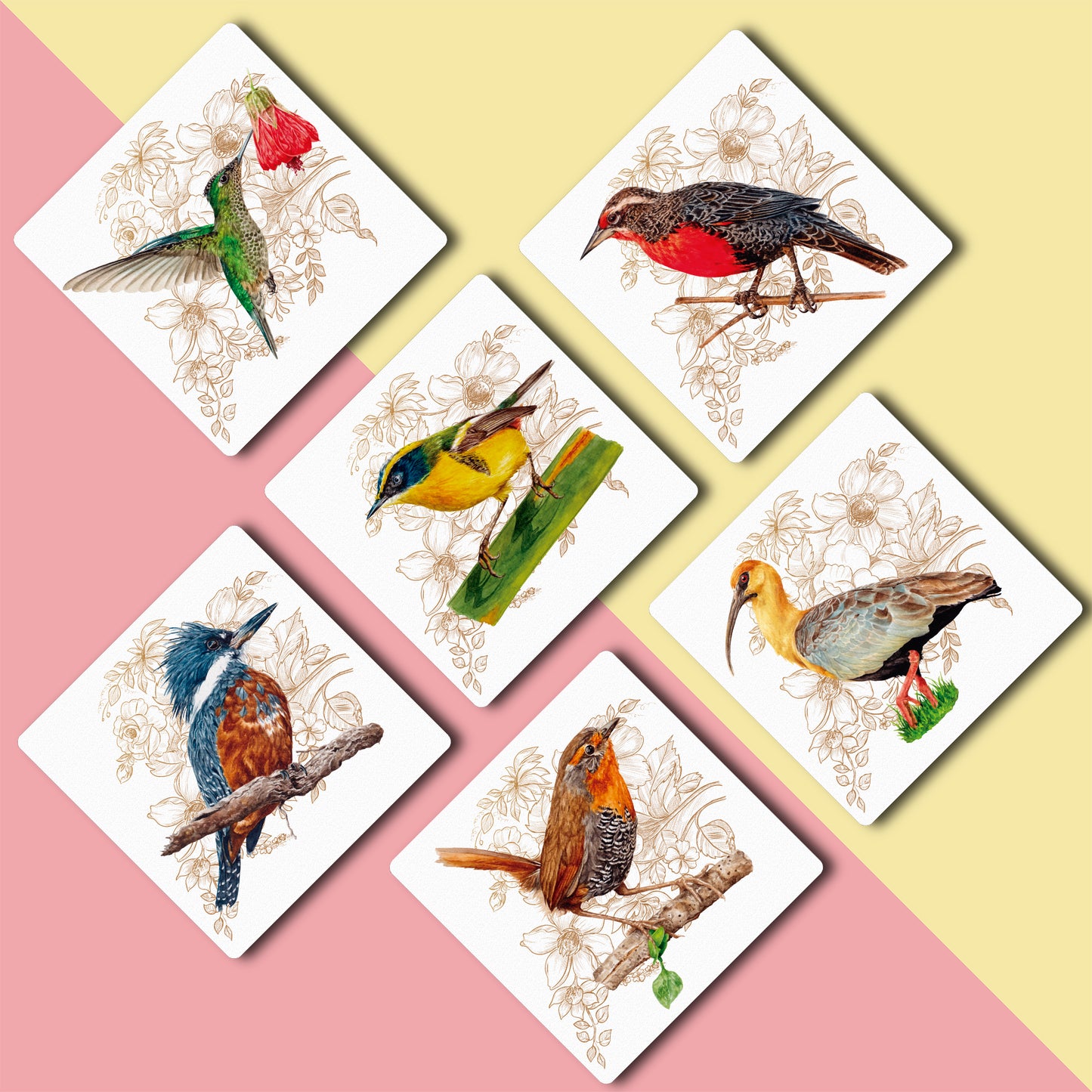 6 Posavasos Aves de Chile