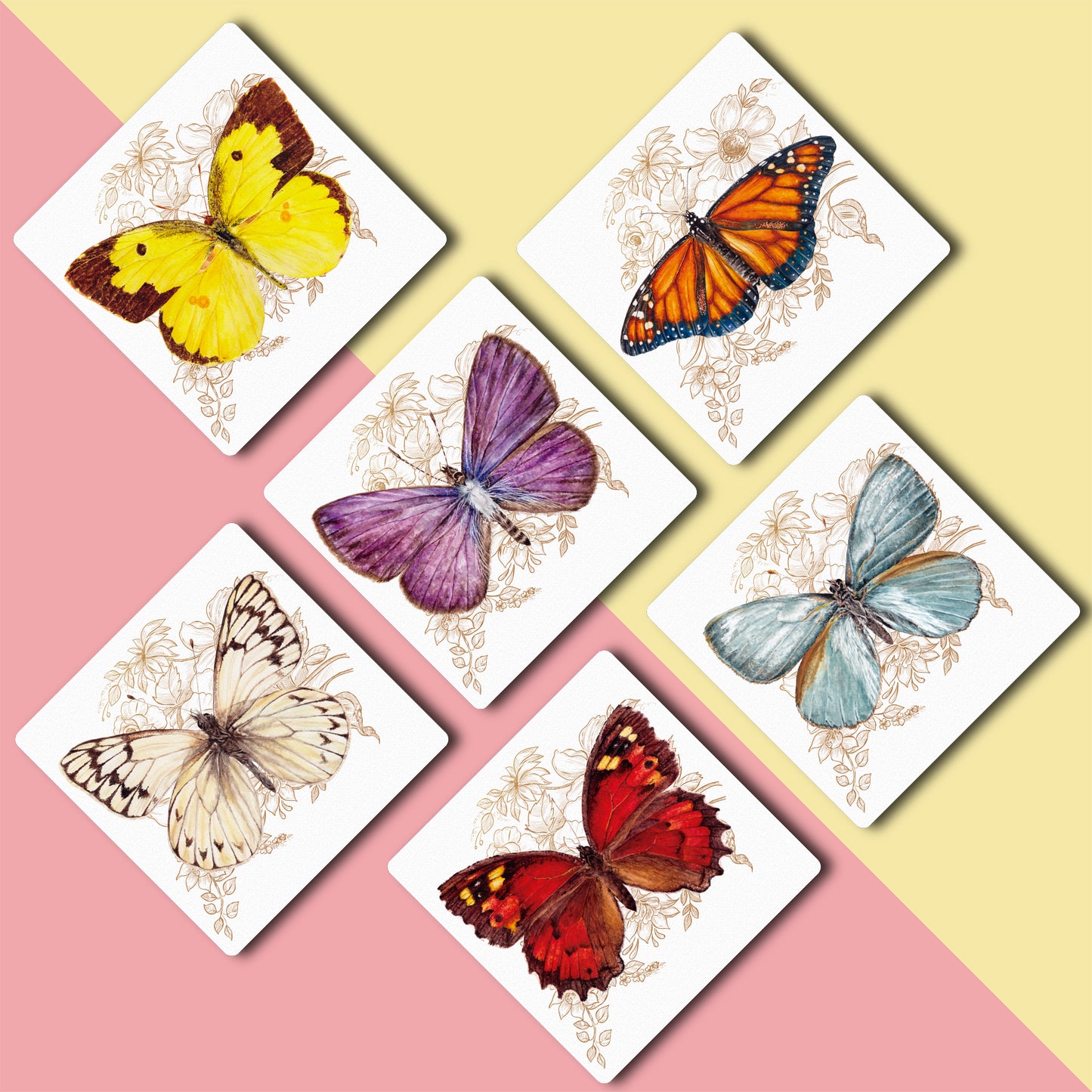 6 Posavasos Mariposas de Chile