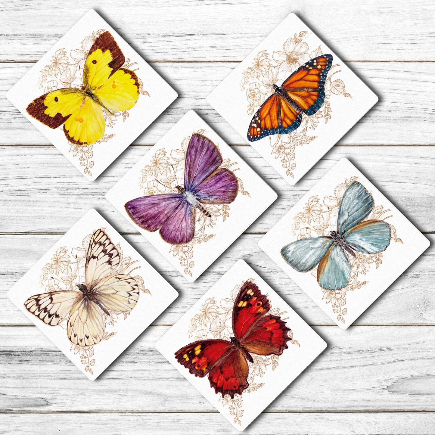 6 Posavasos Mariposas de Chile