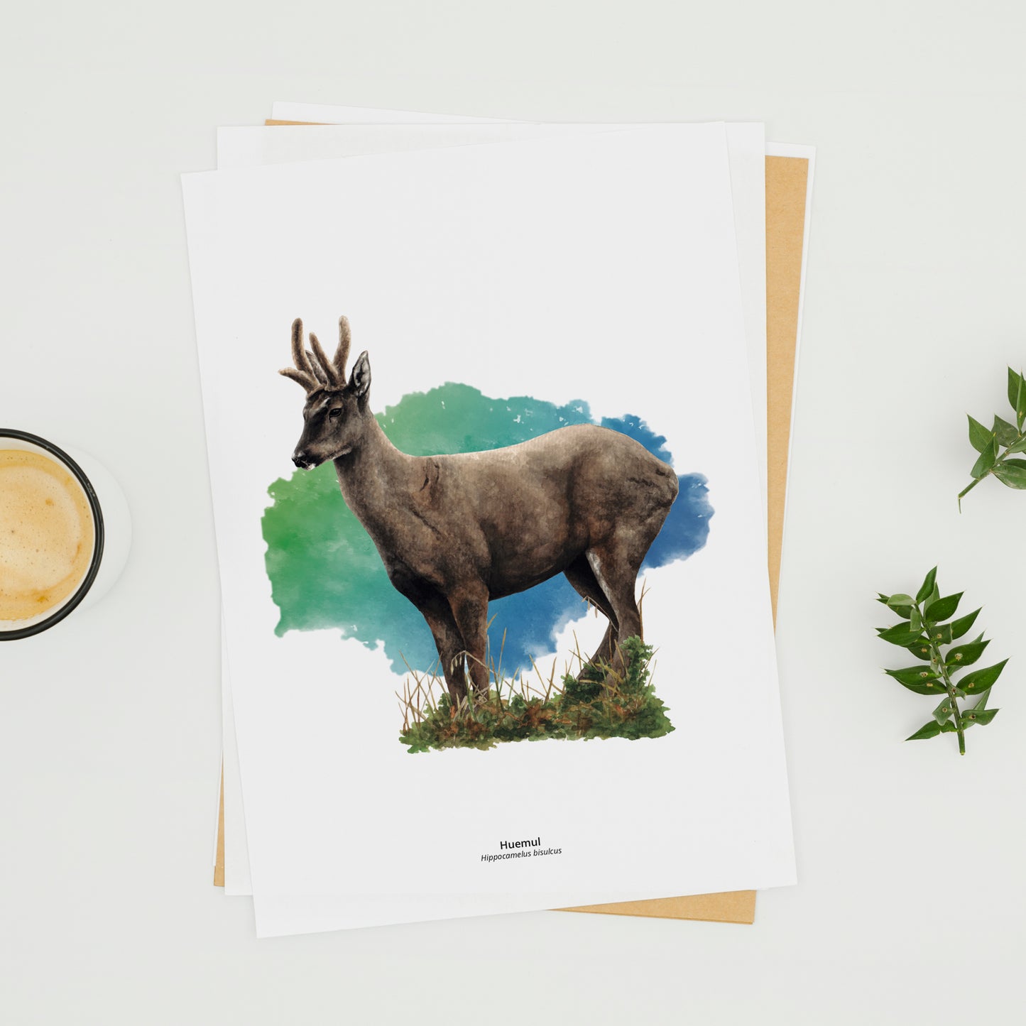 Set de 6 Láminas Patagonia