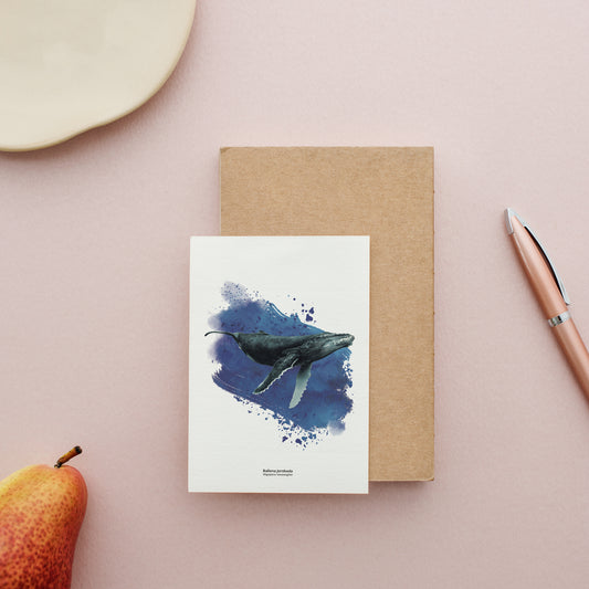 Set de 6 Postales Mar de Chile