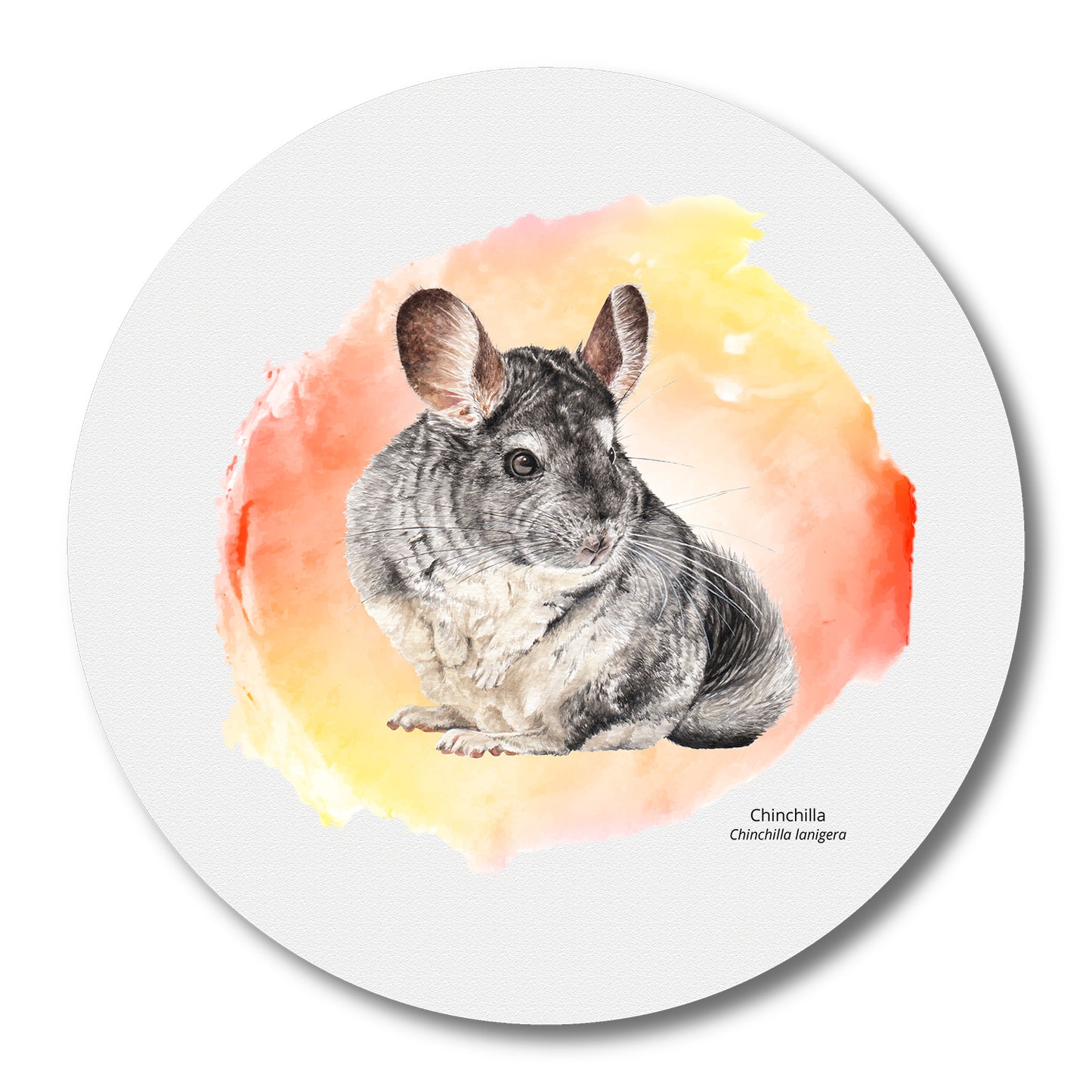 Mousepad Chinchilla