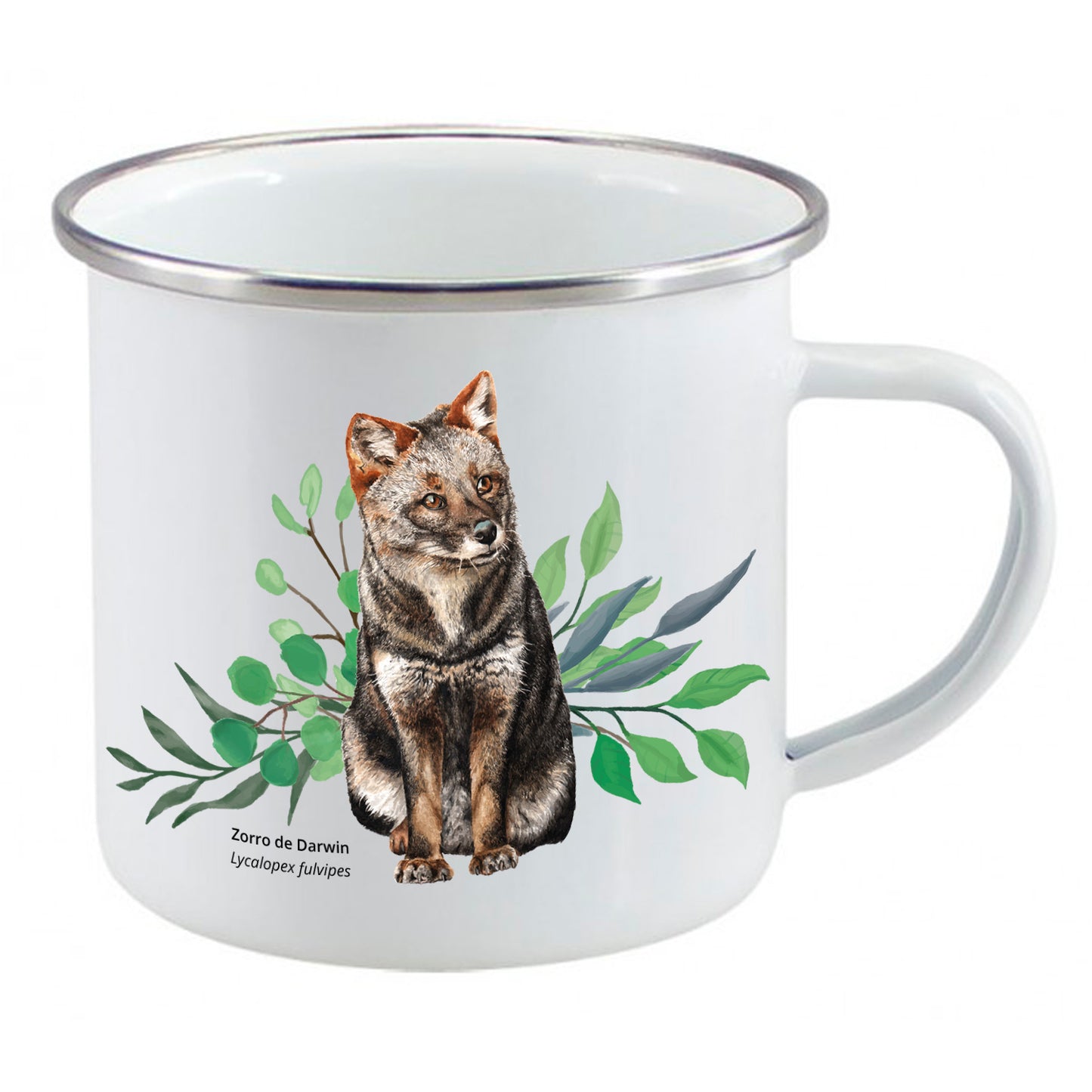 Tazón enlozado Zorrito de Darwin