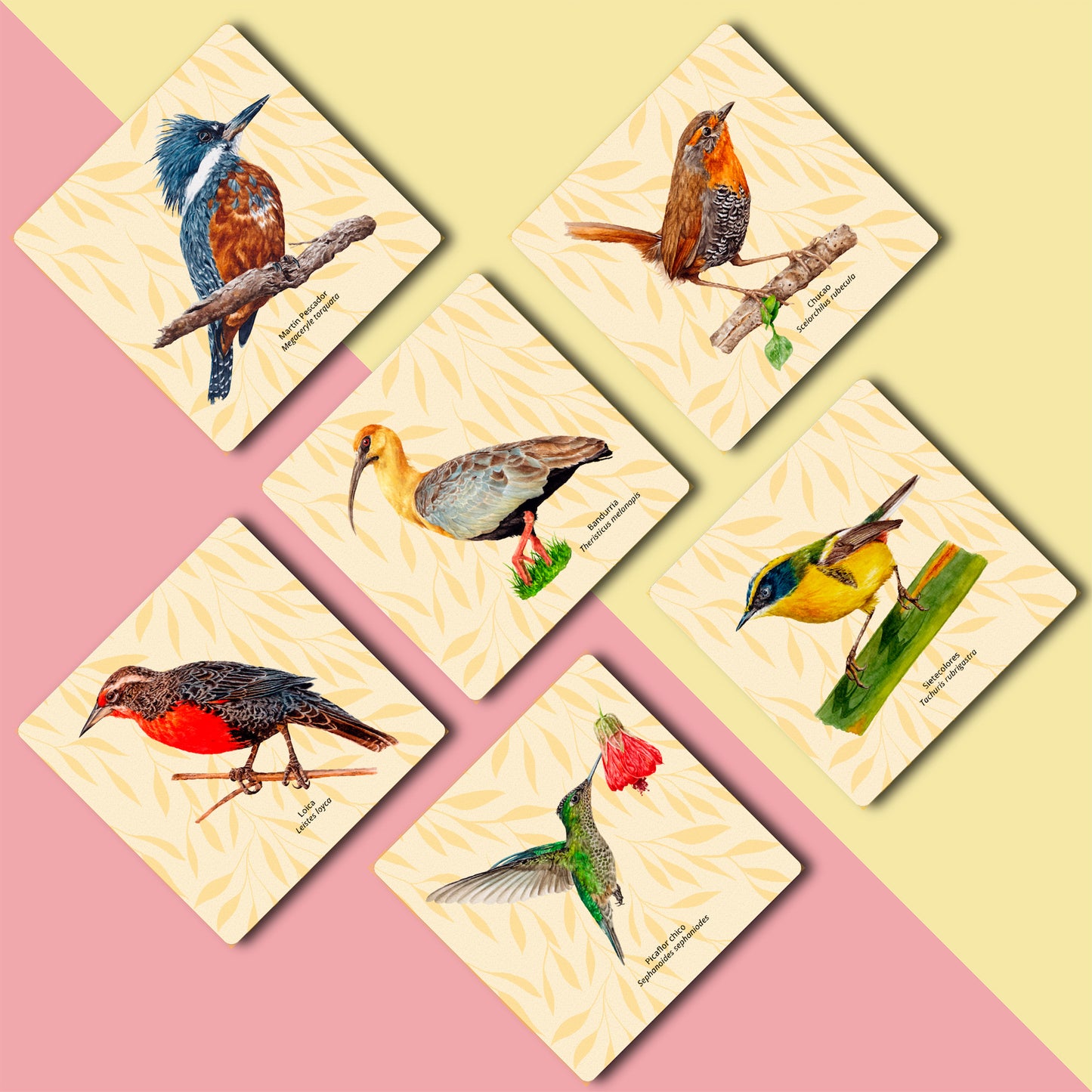 6 Posavasos Aves de Chile