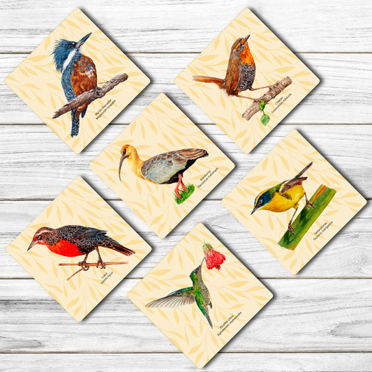 6 Posavasos Aves de Chile