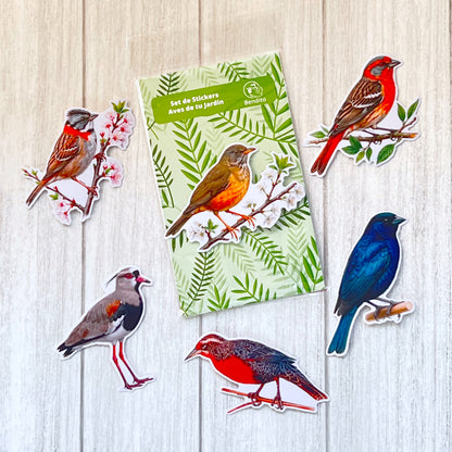 Set de Stickers Aves de tu Jardin