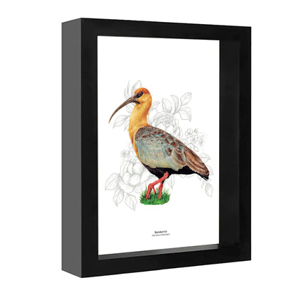 Set de 4 Cuadritos Aves del Sur