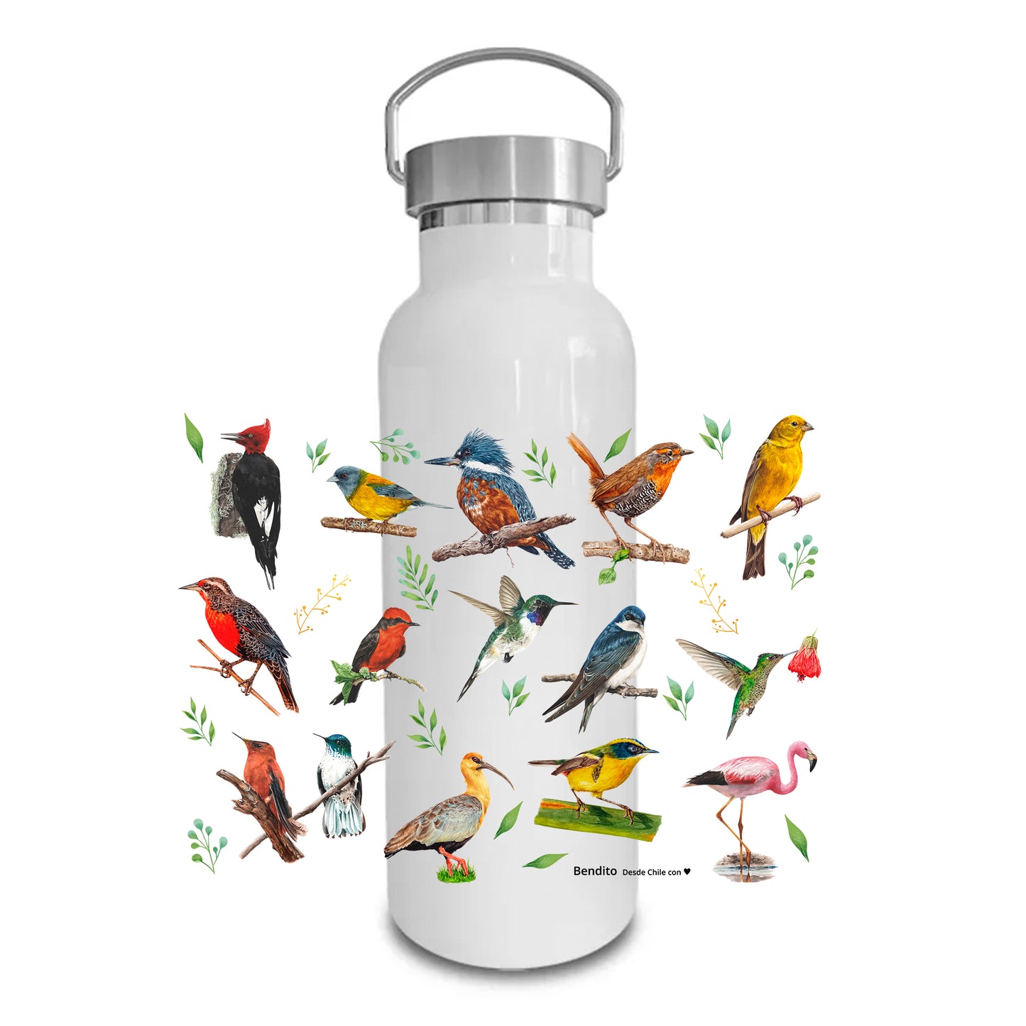 Termo Botella Aves de Chile