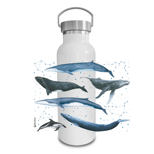 Termo Botella Cetáceos de Chile