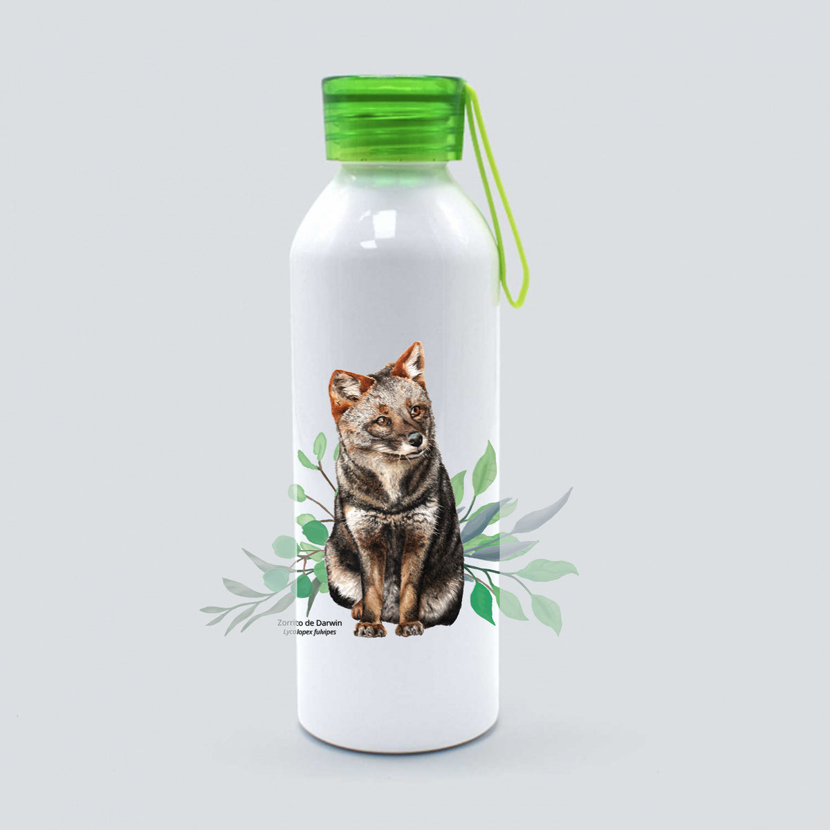 Botella Zorrito Darwin