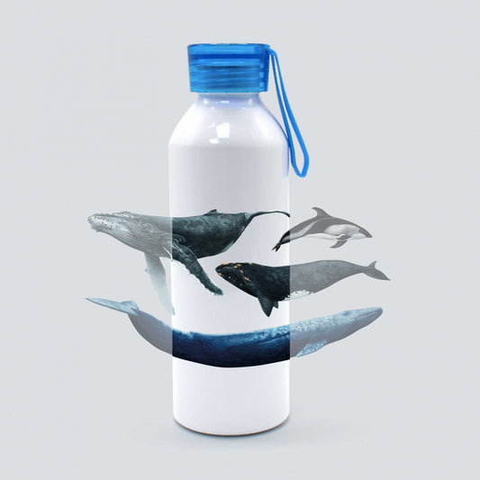 Botella Cetáceos de Chile
