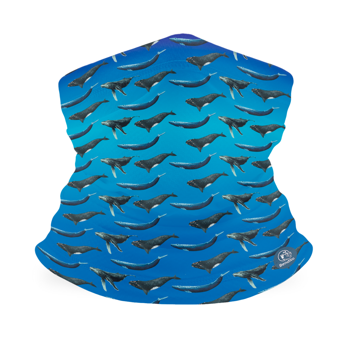 Bandana Ballenas de Chile