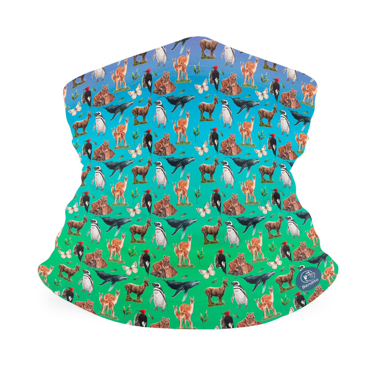 Bandana Patagonia