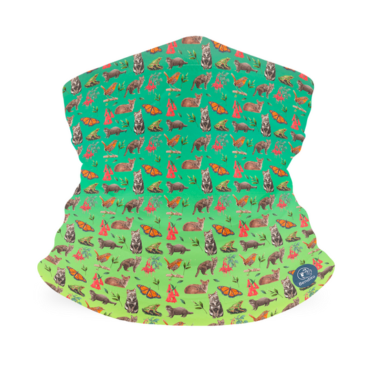Bandana Selva Valdiviana