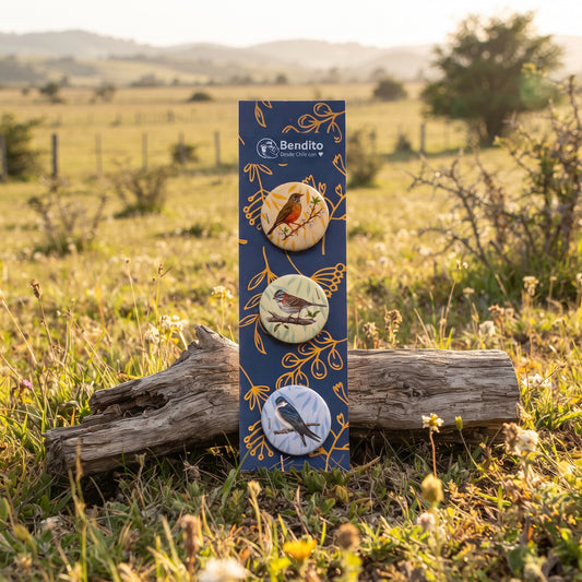 Set 3 Chapitas Zorzal Chincol Golondrina