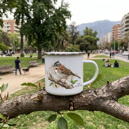 Tazón enlozado Chincol