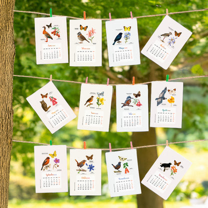 Calendario Aves de Chile 2026