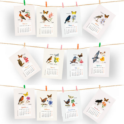 Calendario Aves de Chile 2026