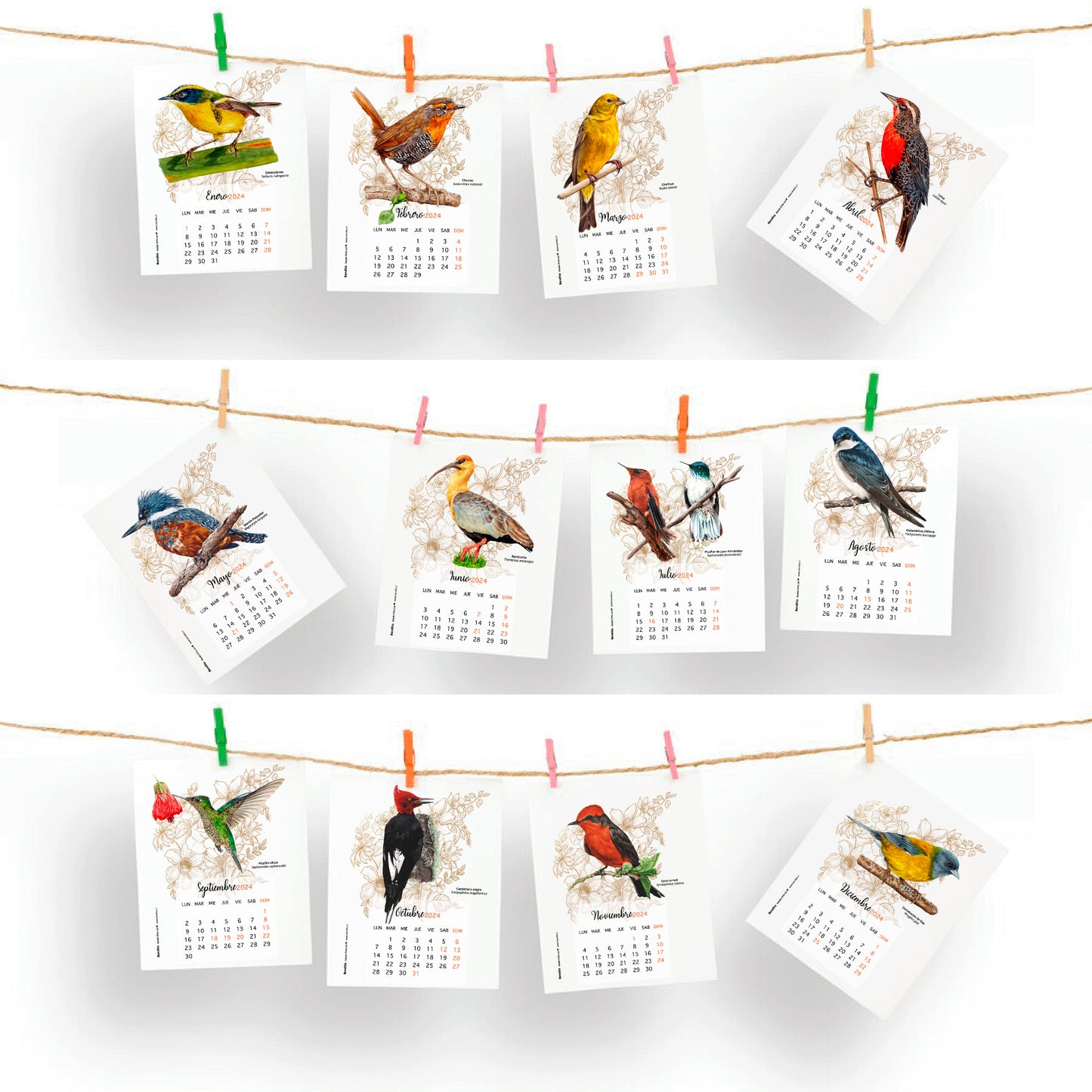 Calendario Aves de Chile