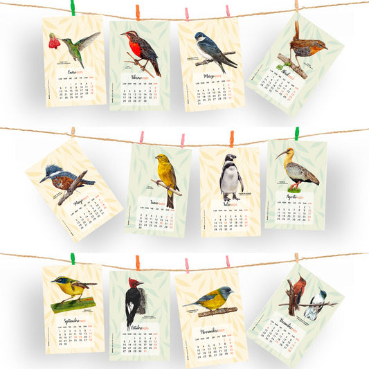 Calendario Aves de Chile