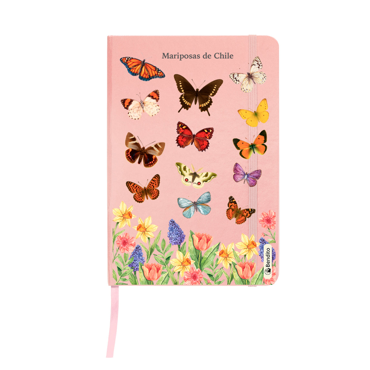 Cuaderno Mariposas de Chile