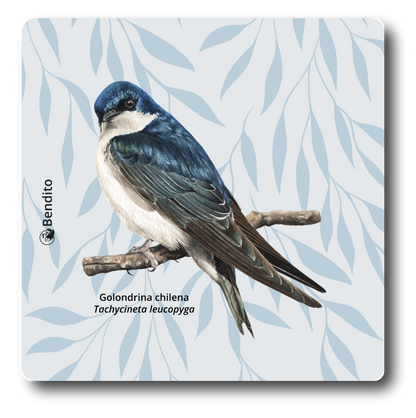 Posavaso de vidrio Golondrina chilena