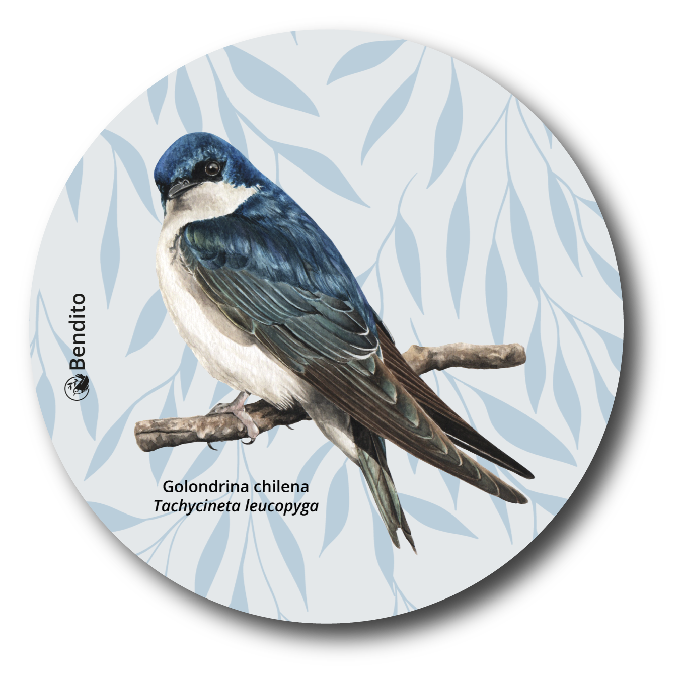 Posavaso de vidrio Golondrina chilena