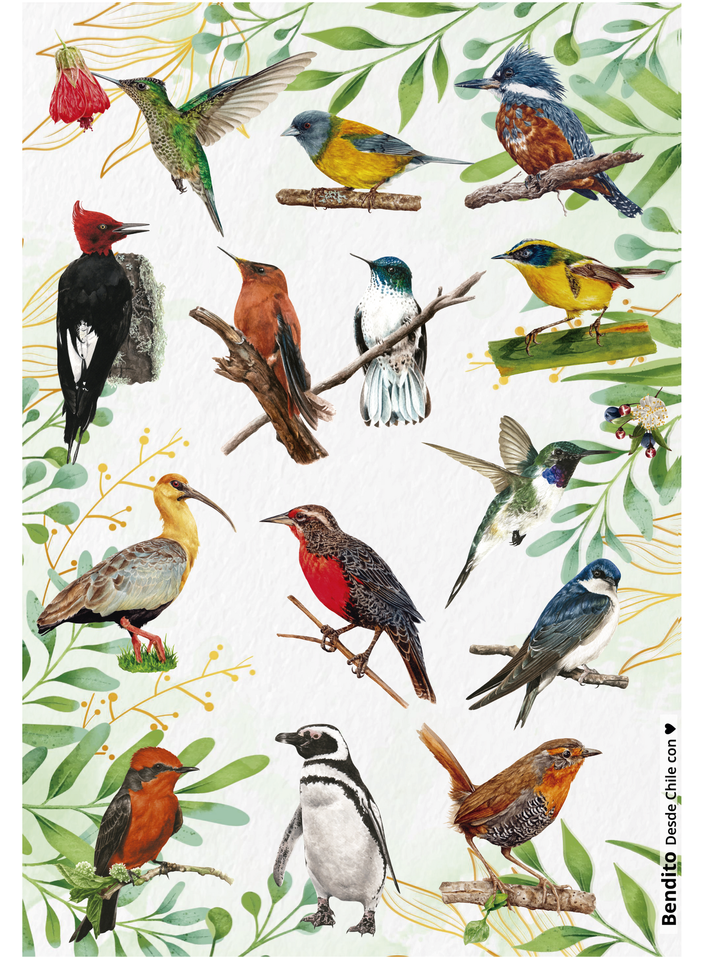 Cuaderno Aves de Chile