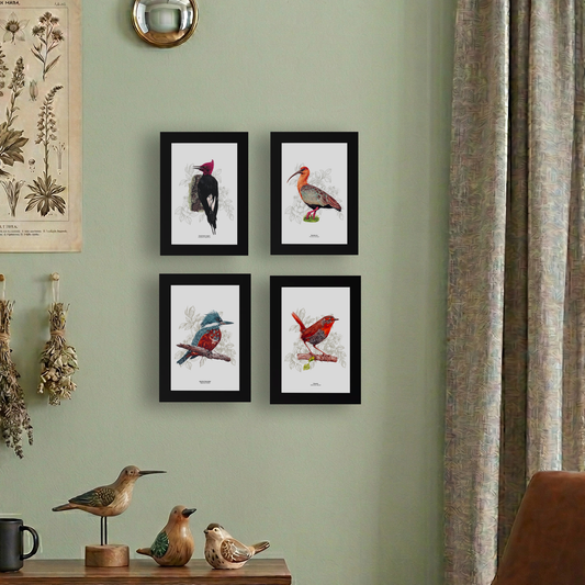 Set de 4 Cuadritos Aves del Sur