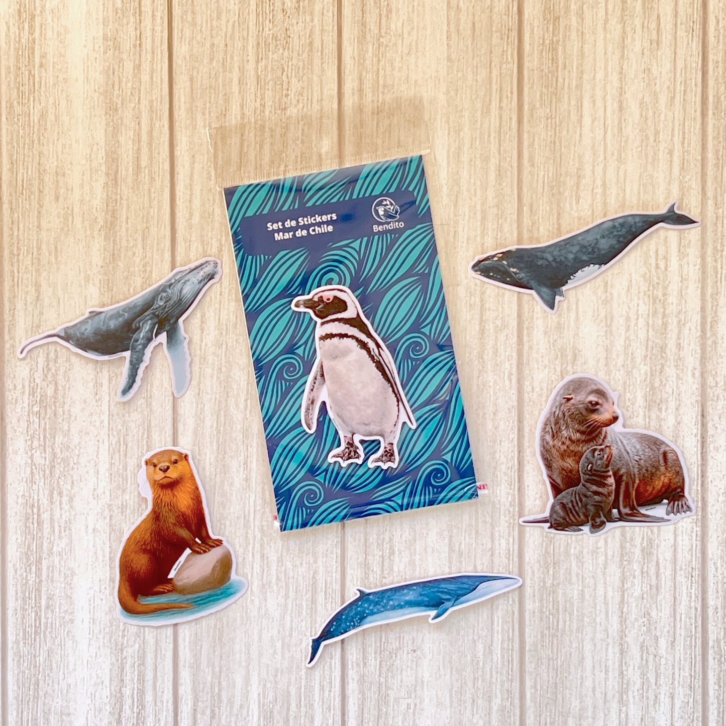 Set de Stickers Mar de Chile