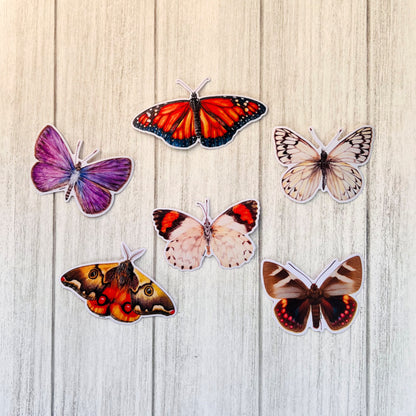 Set de Stickers Mariposas de Chile