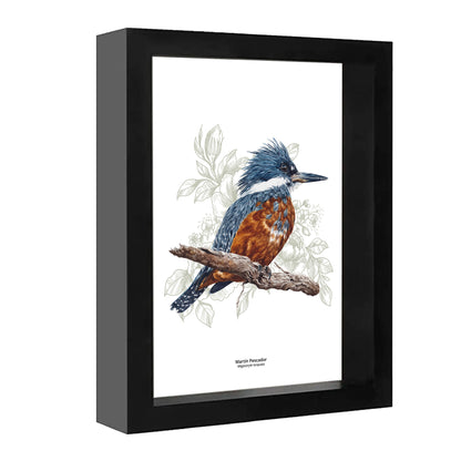 Set de 4 Cuadritos Aves del Sur