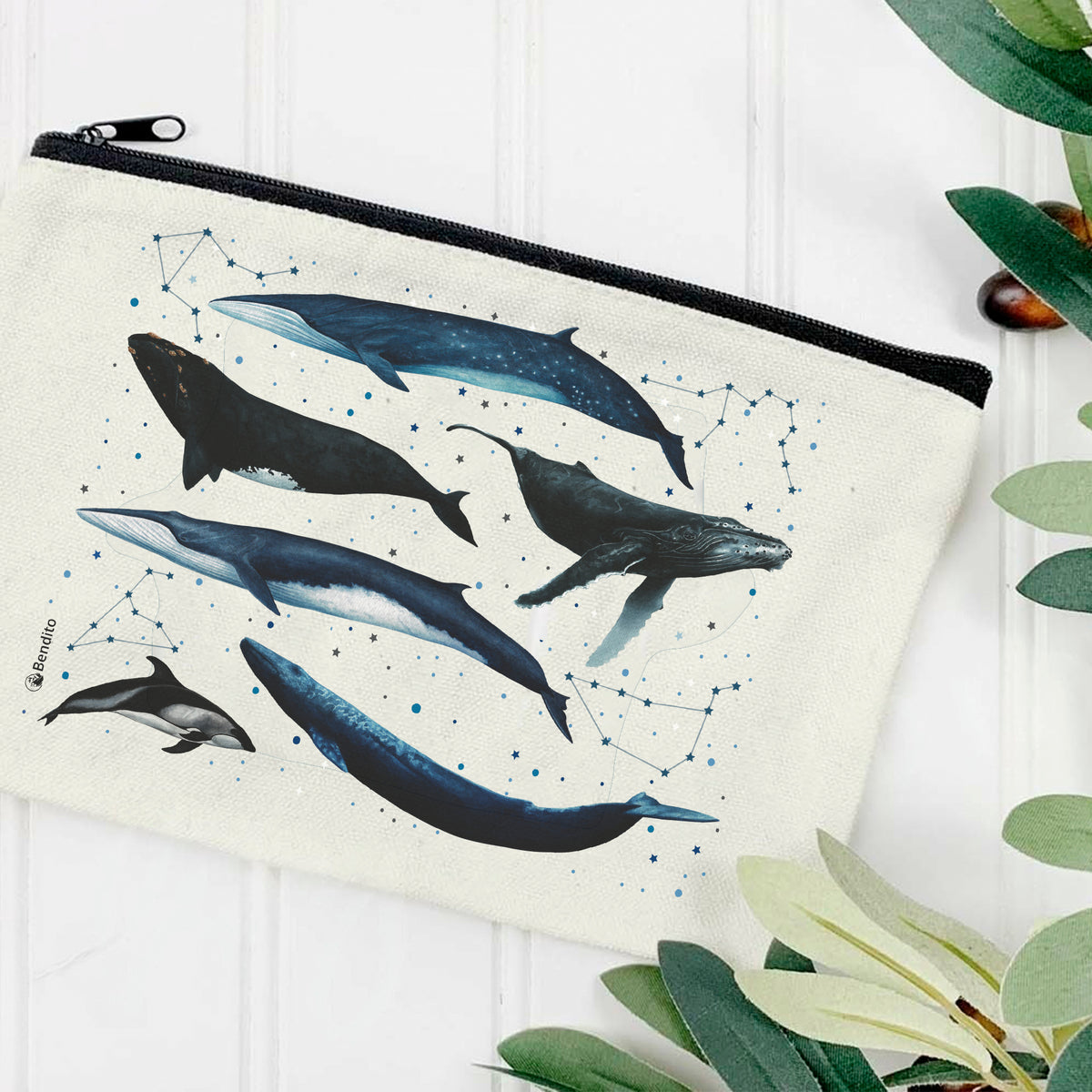 Neceser ballenas de Chile
