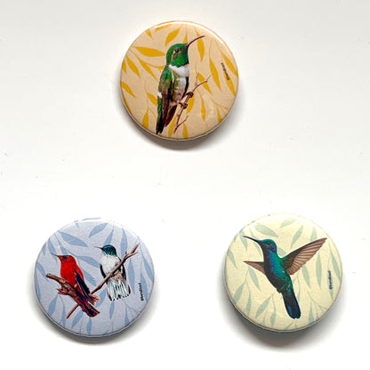 Set 3 Chapitas Picaflores