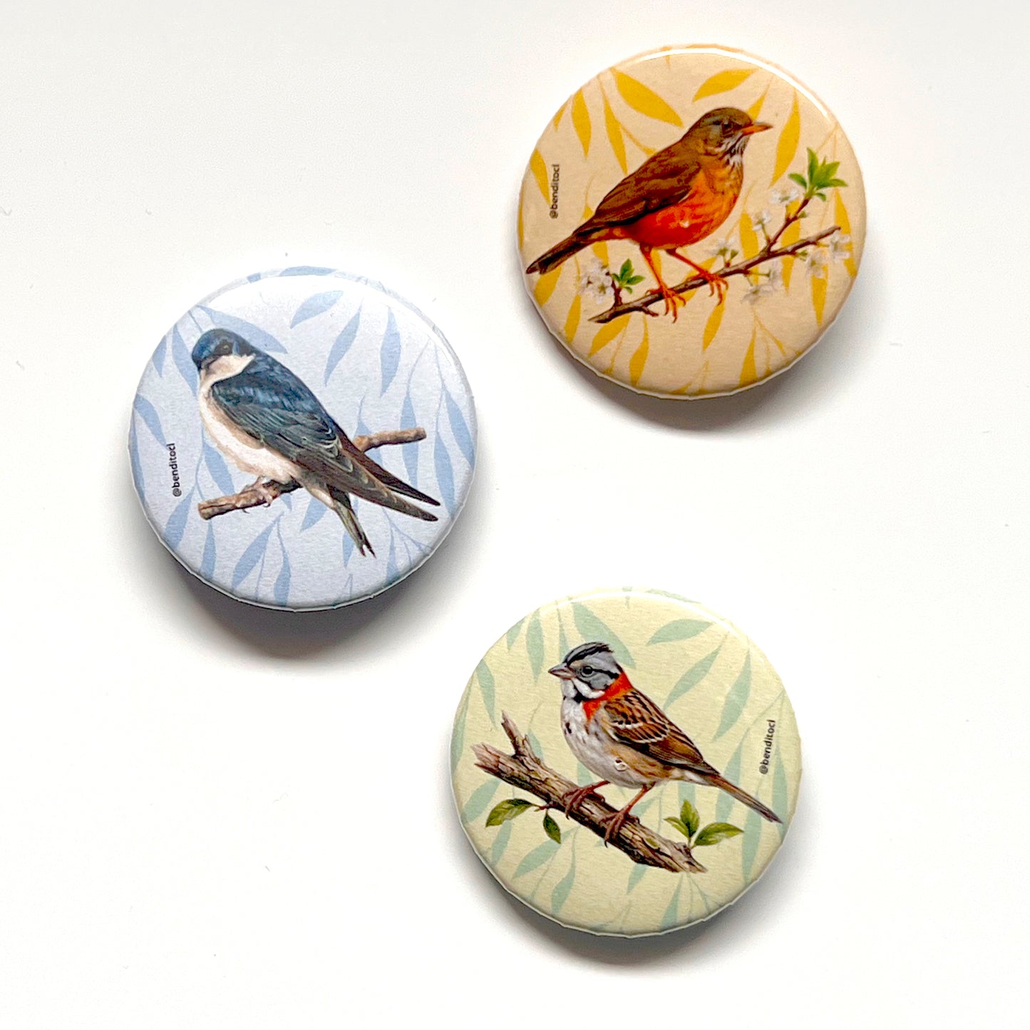 Set 3 Chapitas Zorzal Chincol Golondrina
