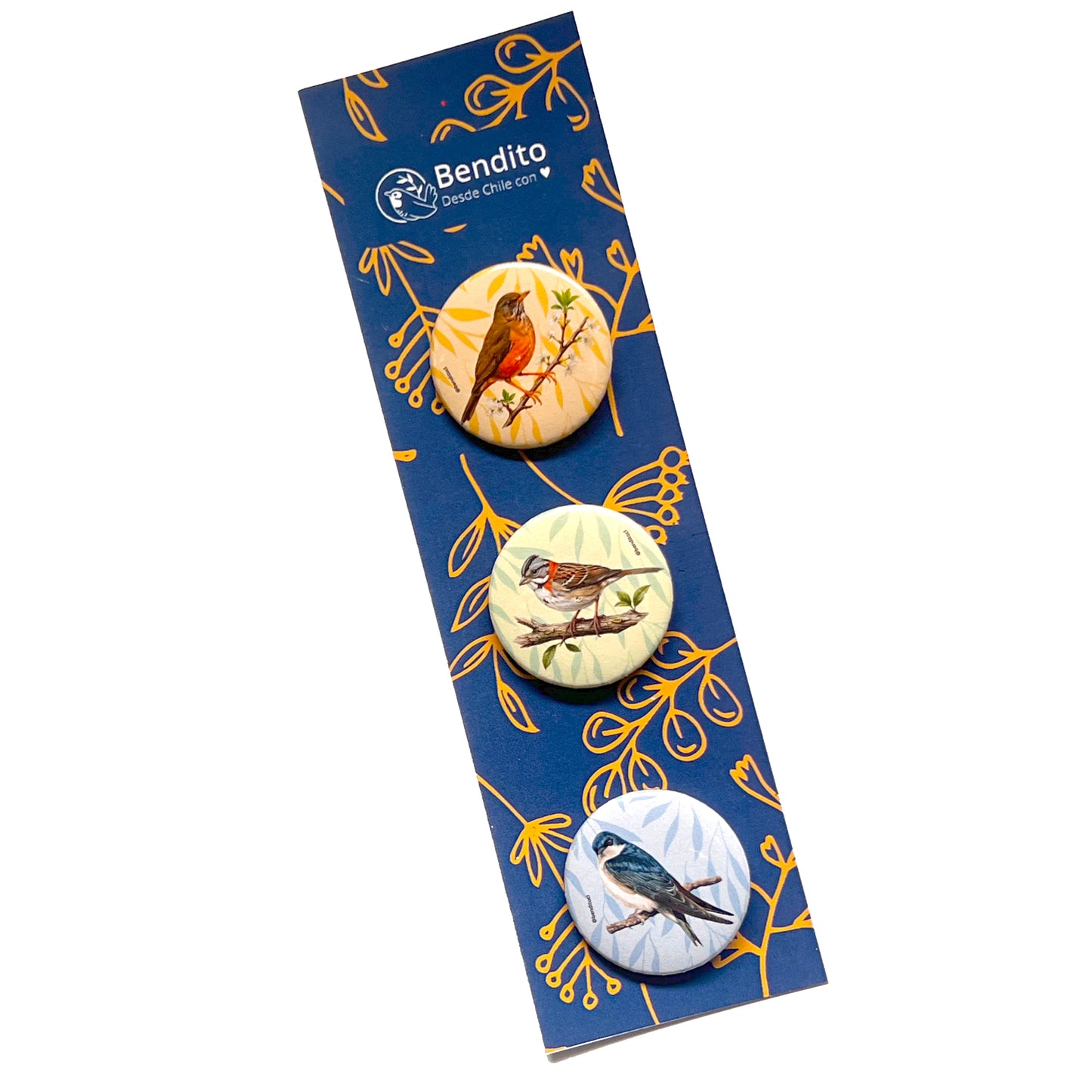 Set 3 Chapitas Zorzal Chincol Golondrina