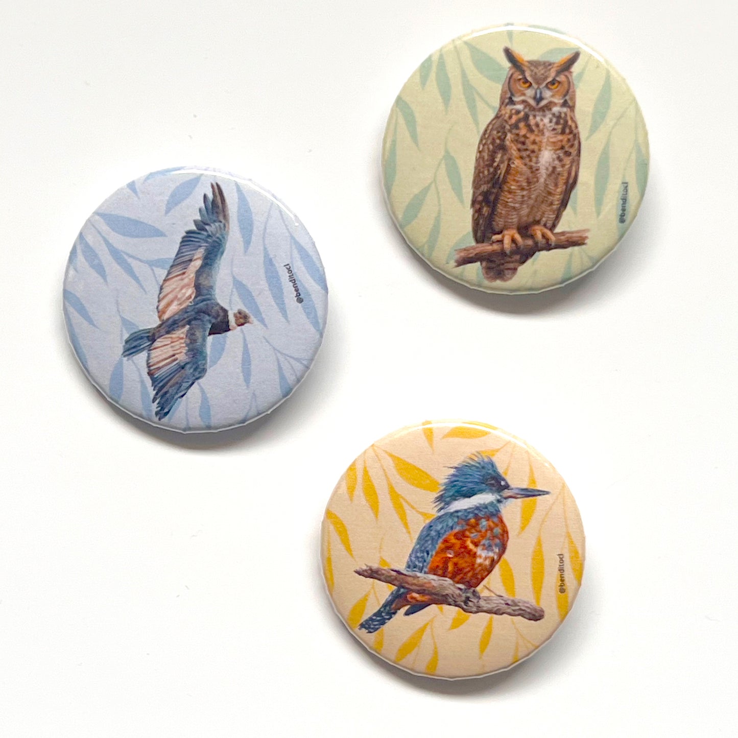 Set 3 Chapitas Martin Condor Tucuquere